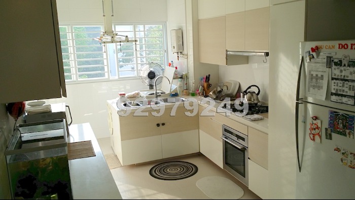 Blk 117 Clementi Street 13 (Clementi), HDB 4 Rooms #565082